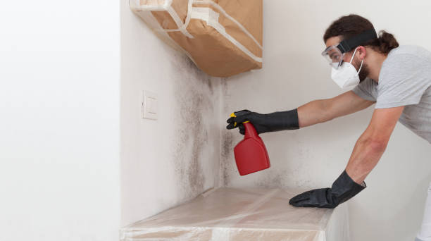 Professional Crawl Space Mold Remediation technician working in Hillside, NJ