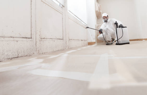 24/7 Emergency Crawl Space Mold Remediation experts in Hillside, NJ